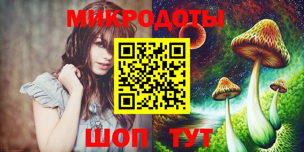 купить наркотик  Галлюциногенные грибы Magic Shrooms  Вход с VPN  Заволжье 
