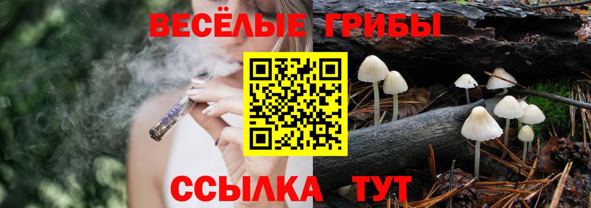 Галлюциногенные грибы мухоморы Заволжье